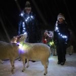 Kuva joulupolun tunnelmista