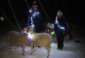 Kuva joulupolun tunnelmista