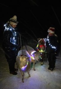 Kuva joulupolun tunnelmista