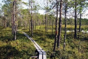 Luontopolku3