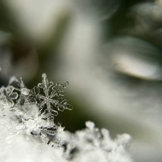 aaron-burden-9yhy1FXlKwI-unsplash
