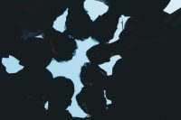 aditya-gunturu-KwHIbldhKlY-unsplash