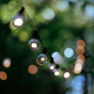 alexandr-popadin-1-6tQFWwME0-unsplash