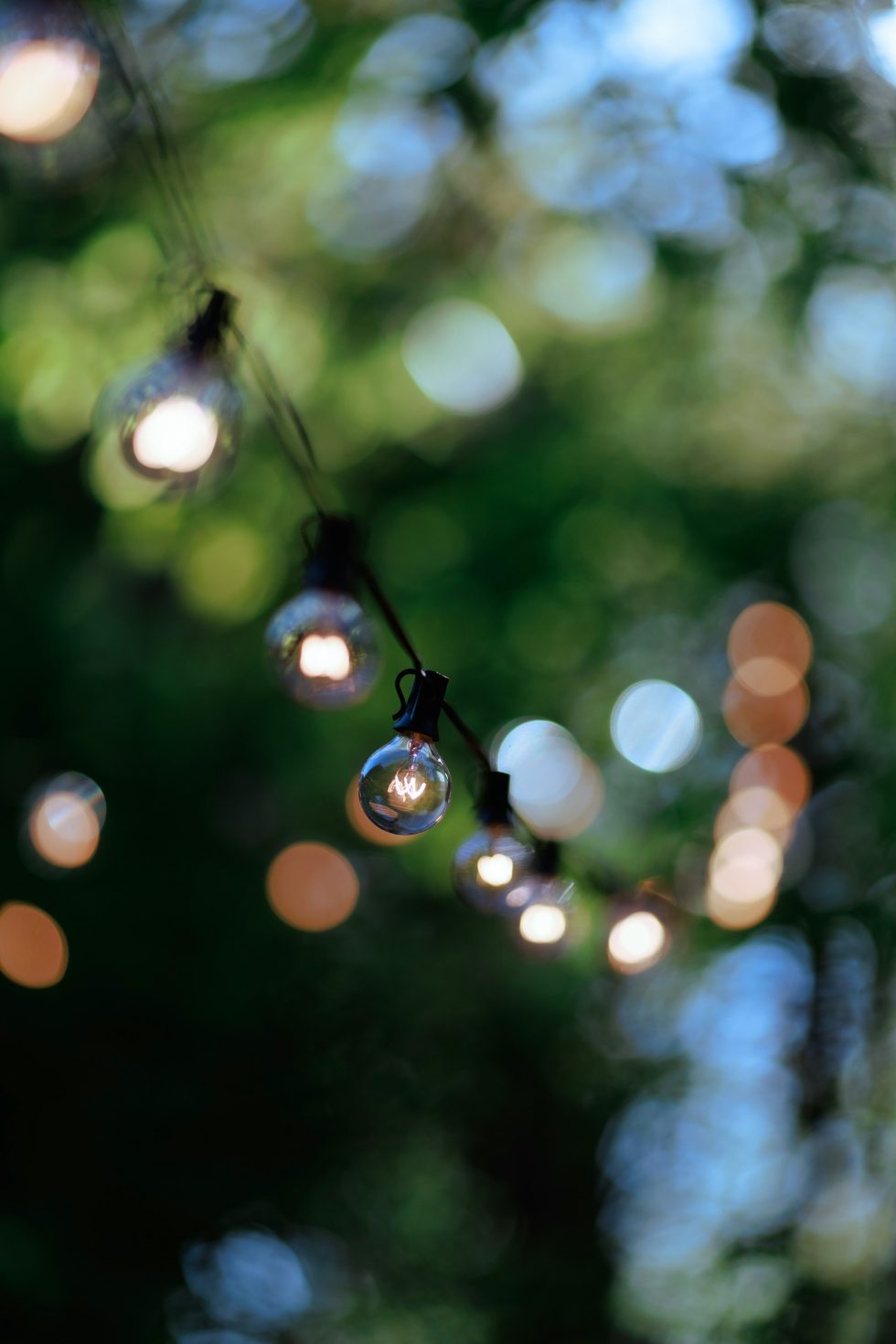 alexandr-popadin-1-6tQFWwME0-unsplash