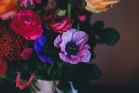 annie-spratt-X93dIa5APEI-unsplash