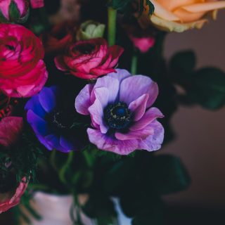 annie-spratt-X93dIa5APEI-unsplash