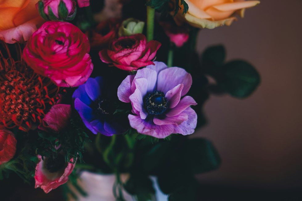 annie-spratt-X93dIa5APEI-unsplash