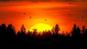 AuringonlaskuMarjoniemessä_12072025