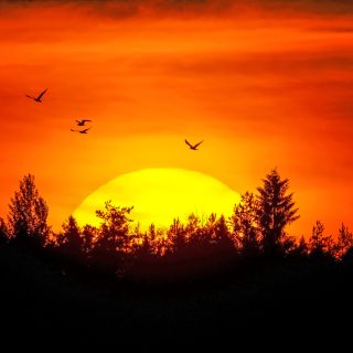 AuringonlaskuMarjoniemessä_12072025