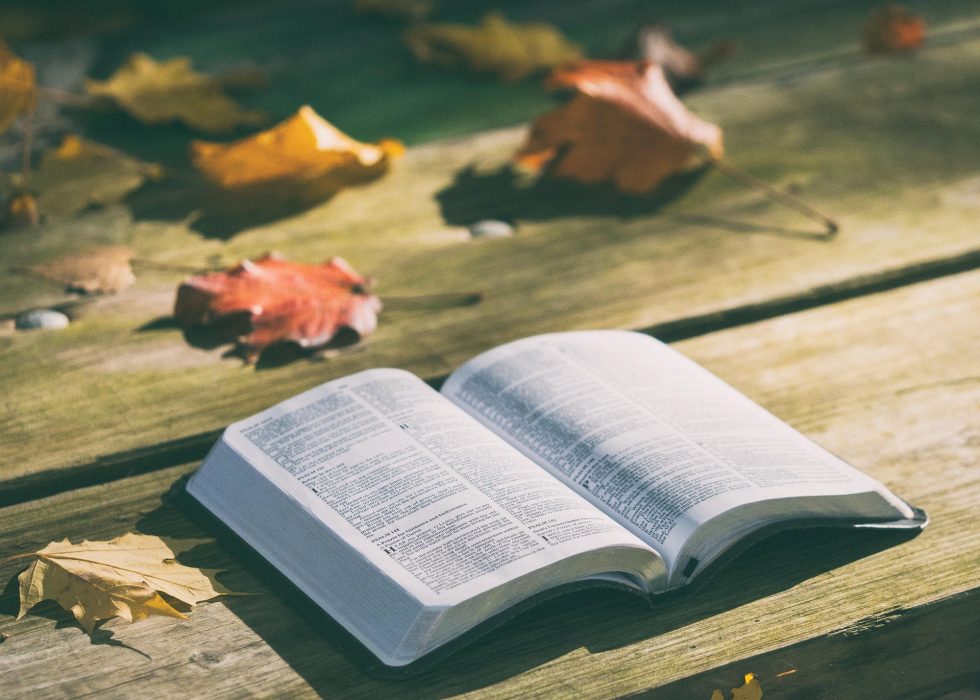 bible-1868070_1920