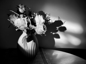 brigitte-elsner-lqVGY-4W07w-unsplash