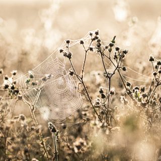 clement-falize-KM68mOJK7ng-unsplash