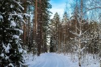 dainius-urbanavicius-Efo0NrVDqLA-unsplash