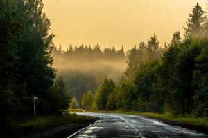 dmitry-grachyov-PPoZM5_OYZU-unsplash