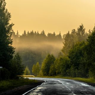 dmitry-grachyov-PPoZM5_OYZU-unsplash