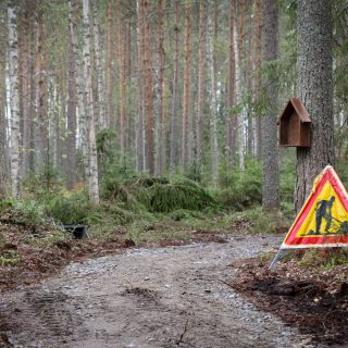 Elamanpuu-Korhosenniemi SR-40