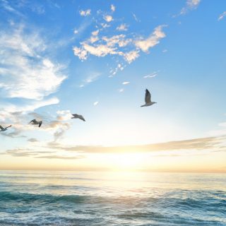 frank-mckenna-OD9EOzfSOh0-unsplash