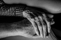 gert-stockmans-n85taMiq0S4-unsplash