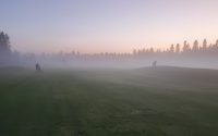 GolfVihavainen