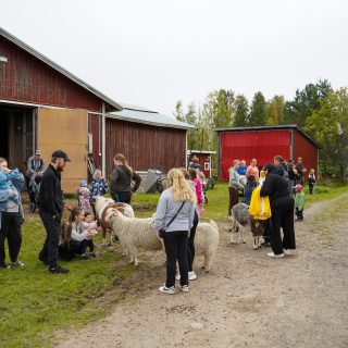 Pihatapahtuma jossa on eläimiä