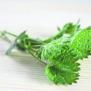 hortoilu_7