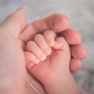 hu-chen-tCbTGNwrFNM-unsplash