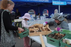 hyönteishotelli eeva ja sanni vaskilampi , marjaterttu hiltunen