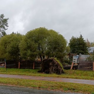 IMG20230920083045