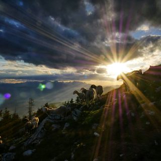 jaka-skrlep-kfv21yEf-6Y-unsplash