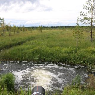 jälkikäsittelykenttä