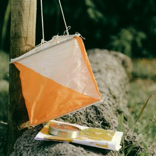 jametlene-reskp-E2QYEhkypJE-unsplash