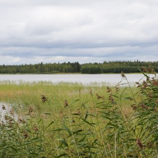 Järvi 2023 SK-2
