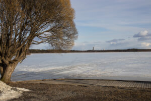 Järvi