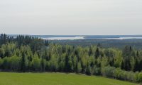 Jarvimaisema