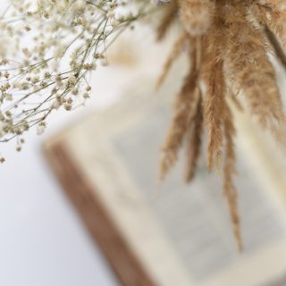 jasmin-ne--faTkS8srWc-unsplash
