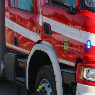 Paloauto