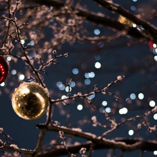 joulupolku_unsplash