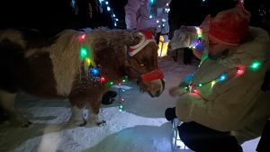 Kuva joulupolun tunnelmista