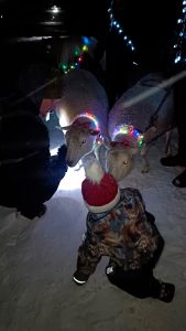 Kuva joulupolun tunnelmista