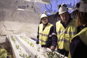 Arkistokuva: Luken luonnonvaroista vastaava johtaja Eeva-Liisa Ryhänen (vas.) kuuntelee Natural Indigo Finlandin  toimitusjohtaja Pasi Ainasojan esittelyä morsingon kasvatuksesta kaivoksessa.