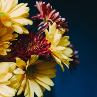 kelly-sikkema-KPBzrdPqRo0-unsplash