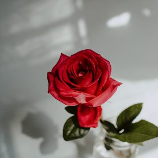 kelly-sikkema-Y7iHt3LRWGg-unsplash