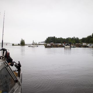 Kihukuvia_Jaana_4