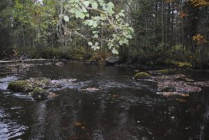 komujoki-joonas