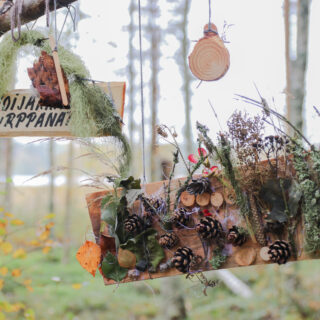 Kulttuuriympäristö-korhosenniemi-09