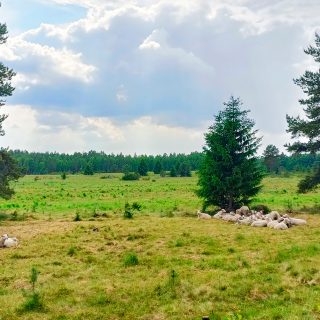 KursunYhteislaidun_Jaana