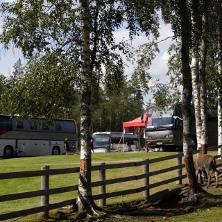KylahullutKulkurit_Jaana_3