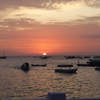 oplus_2080