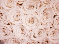 lauza-loistl-pkFo3Lm-d0s-unsplash