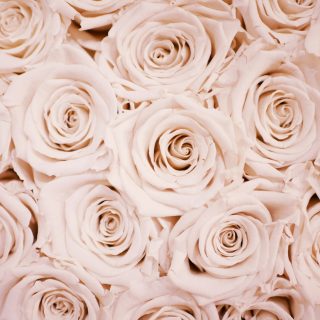 lauza-loistl-pkFo3Lm-d0s-unsplash